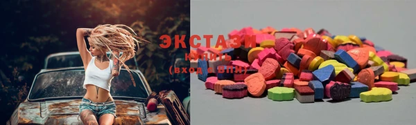 ECSTASY Кукмор