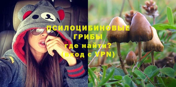 ECSTASY Кукмор