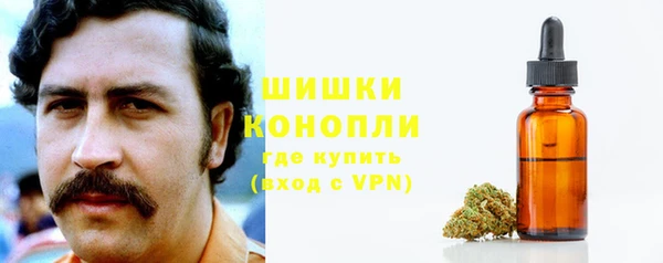 ECSTASY Кукмор
