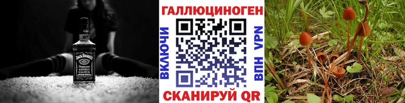 Псилоцибиновые грибы Magic Shrooms  Чекалин 
